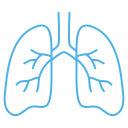 Pulmonary Function Test